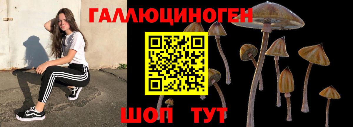 Киров  дарнет шоп  Вход с VPN  Галлюциногенные грибы Psilocybe 